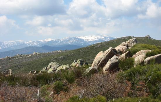 Entre Hautes Corbières et Pyrénées