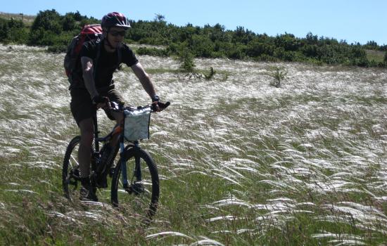 Steppe du plateau du Larzac
