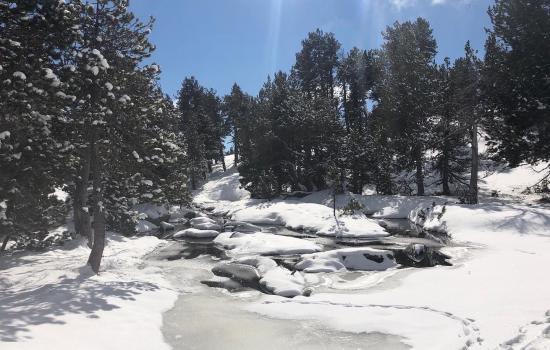 ruisseau pris par les glaces