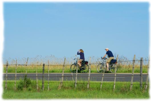 Cyclotourisme en Camargue Randonnée vélo à travers le Parc Naturel Régional de Camargue
