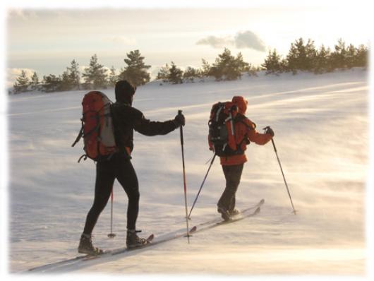 Faire sa trace ... Les forets epaisses de Margeride sont souvent bienvenue lorsque la tourmente souffle