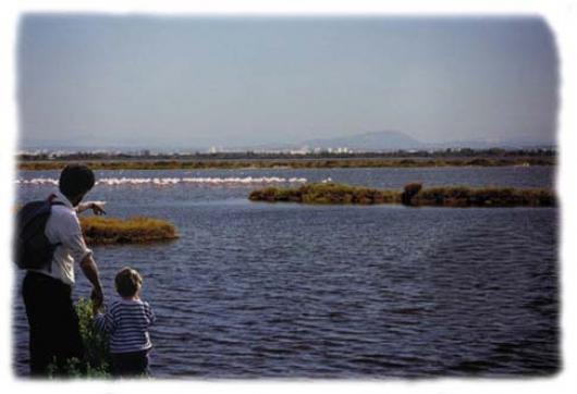 Les étangs, leur faune et leur flore