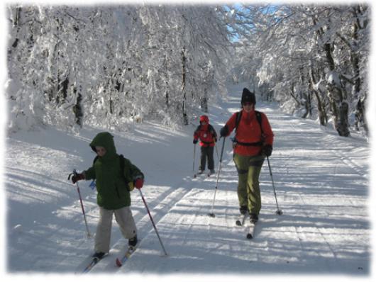 Sortie ski de fond au Mont Aigoual Les plateaux et grands espaces du Massif Central sont des sites privilégiés pour s'initier aux activités nordiques comme le ski de fond