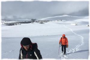 Immensité enneigée de l'Aubrac Raquettes à neige à travers les grandes étendues de l'Aubrac